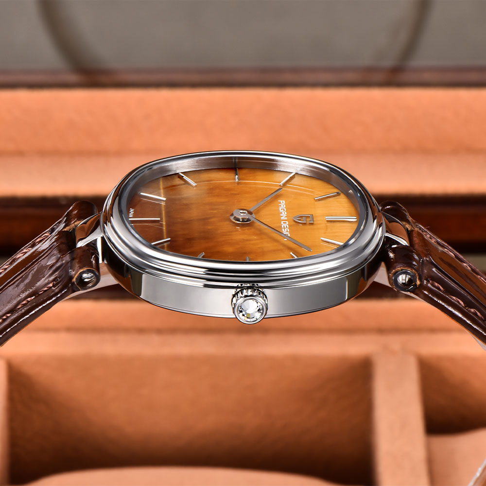 PAGANI DESIGN 2026 New Quartz  - Anti-Magnetic Watch 评论和价格